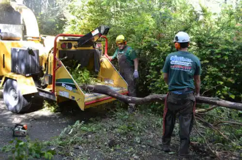 tree services Gurley